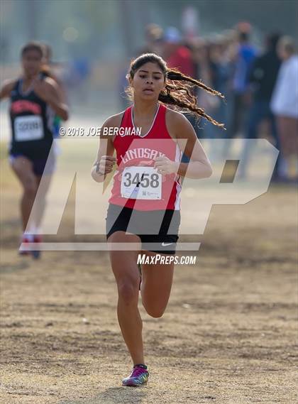 Thumbnail 3 in CIF Central Section Cross Country Championships (Girls D4 Race) photogallery.