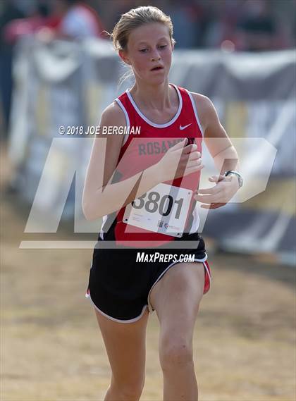 Thumbnail 1 in CIF Central Section Cross Country Championships (Girls D4 Race) photogallery.