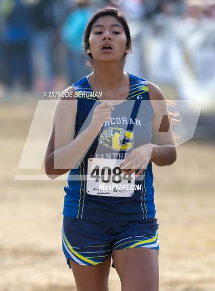 Thumbnail 1 in CIF Central Section Cross Country Championships (Girls D4 Race) photogallery.