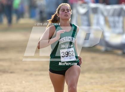 Thumbnail 3 in CIF Central Section Cross Country Championships (Girls D4 Race) photogallery.