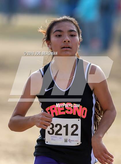 Thumbnail 2 in CIF Central Section Cross Country Championships (Girls D4 Race) photogallery.