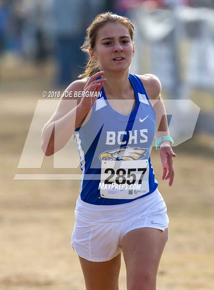 Thumbnail 3 in CIF Central Section Cross Country Championships (Girls D4 Race) photogallery.