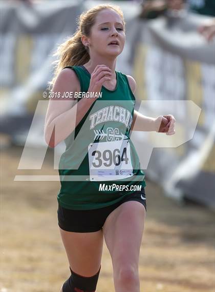 Thumbnail 3 in CIF Central Section Cross Country Championships (Girls D4 Race) photogallery.