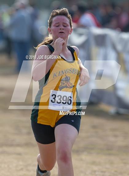 Thumbnail 2 in CIF Central Section Cross Country Championships (Girls D4 Race) photogallery.