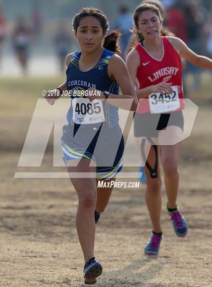 Thumbnail 2 in CIF Central Section Cross Country Championships (Girls D4 Race) photogallery.