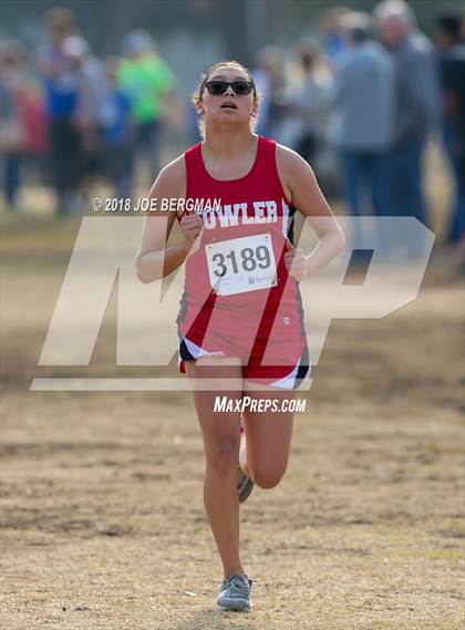 Thumbnail 3 in CIF Central Section Cross Country Championships (Girls D4 Race) photogallery.