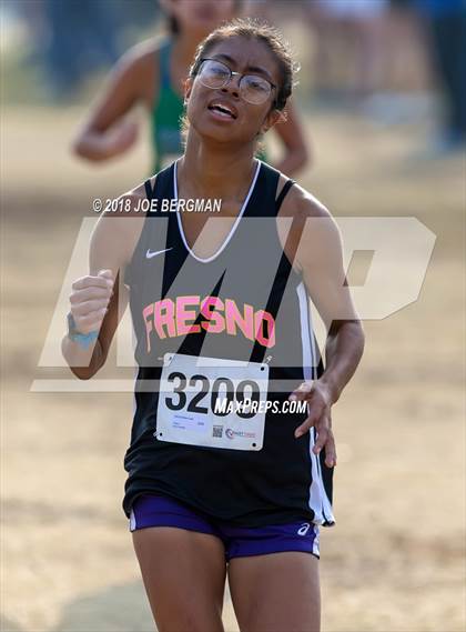 Thumbnail 3 in CIF Central Section Cross Country Championships (Girls D4 Race) photogallery.