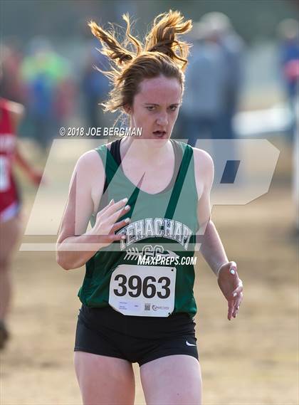 Thumbnail 3 in CIF Central Section Cross Country Championships (Girls D4 Race) photogallery.