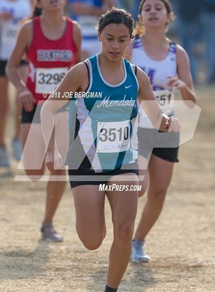 Thumbnail 3 in CIF Central Section Cross Country Championships (Girls D4 Race) photogallery.