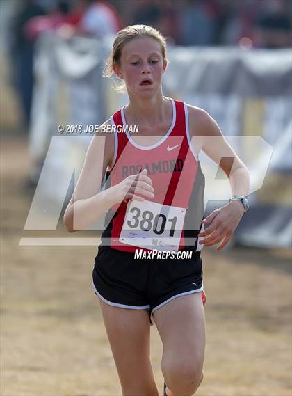 Thumbnail 3 in CIF Central Section Cross Country Championships (Girls D4 Race) photogallery.