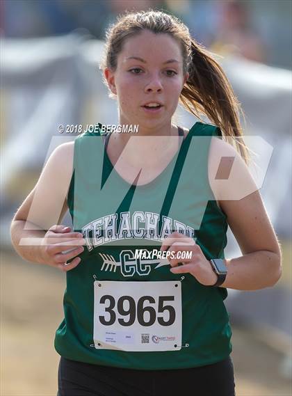 Thumbnail 3 in CIF Central Section Cross Country Championships (Girls D4 Race) photogallery.