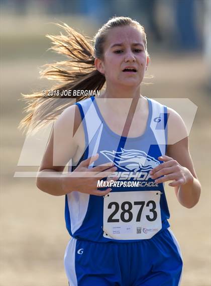 Thumbnail 3 in CIF Central Section Cross Country Championships (Girls D4 Race) photogallery.