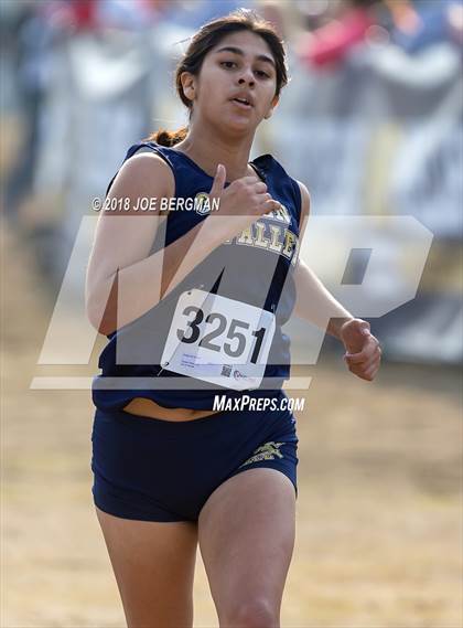 Thumbnail 3 in CIF Central Section Cross Country Championships (Girls D4 Race) photogallery.