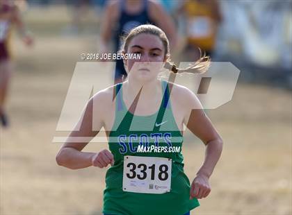 Thumbnail 2 in CIF Central Section Cross Country Championships (Girls D4 Race) photogallery.