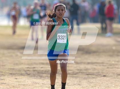 Thumbnail 1 in CIF Central Section Cross Country Championships (Girls D4 Race) photogallery.