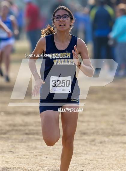 Thumbnail 1 in CIF Central Section Cross Country Championships (Girls D4 Race) photogallery.