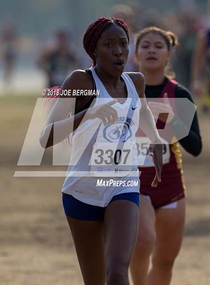 Thumbnail 3 in CIF Central Section Cross Country Championships (Girls D4 Race) photogallery.