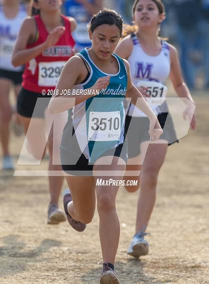 Thumbnail 2 in CIF Central Section Cross Country Championships (Girls D4 Race) photogallery.