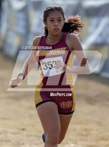 Thumbnail 1 in CIF Central Section Cross Country Championships (Girls D4 Race) photogallery.