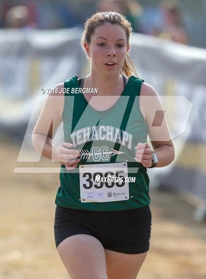 Thumbnail 2 in CIF Central Section Cross Country Championships (Girls D4 Race) photogallery.