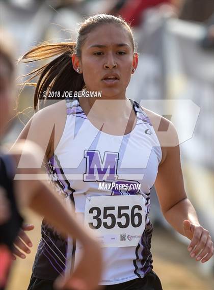 Thumbnail 1 in CIF Central Section Cross Country Championships (Girls D4 Race) photogallery.