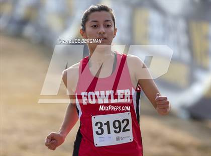 Thumbnail 2 in CIF Central Section Cross Country Championships (Girls D4 Race) photogallery.