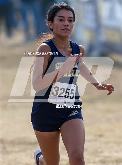 Thumbnail 2 in CIF Central Section Cross Country Championships (Girls D4 Race) photogallery.
