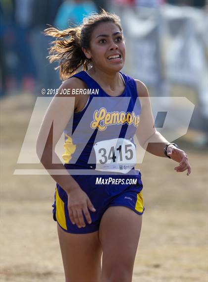 Thumbnail 2 in CIF Central Section Cross Country Championships (Girls D4 Race) photogallery.