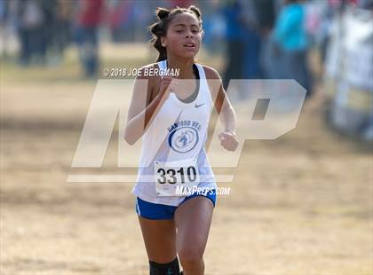 Thumbnail 3 in CIF Central Section Cross Country Championships (Girls D4 Race) photogallery.