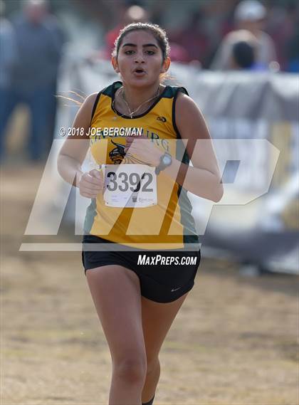 Thumbnail 1 in CIF Central Section Cross Country Championships (Girls D4 Race) photogallery.