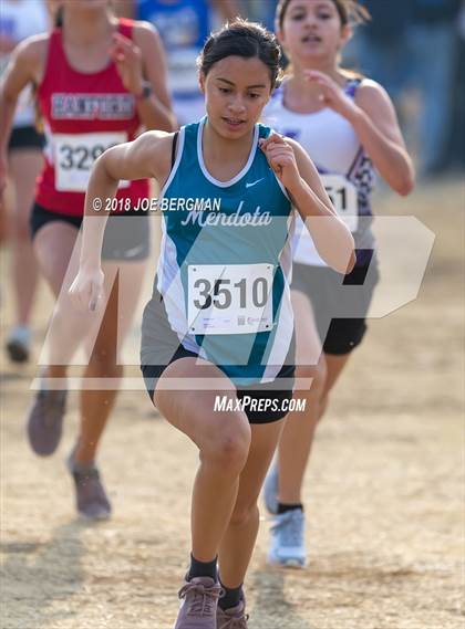 Thumbnail 1 in CIF Central Section Cross Country Championships (Girls D4 Race) photogallery.