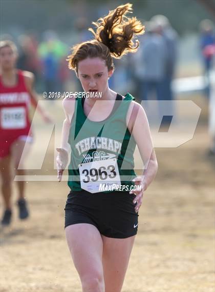 Thumbnail 2 in CIF Central Section Cross Country Championships (Girls D4 Race) photogallery.