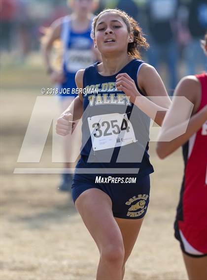 Thumbnail 3 in CIF Central Section Cross Country Championships (Girls D4 Race) photogallery.