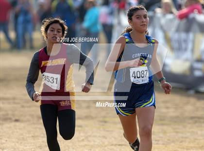 Thumbnail 2 in CIF Central Section Cross Country Championships (Girls D4 Race) photogallery.