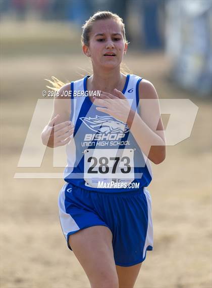 Thumbnail 1 in CIF Central Section Cross Country Championships (Girls D4 Race) photogallery.