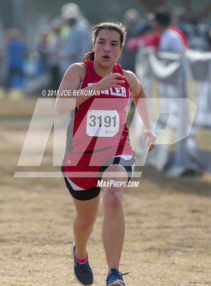 Thumbnail 1 in CIF Central Section Cross Country Championships (Girls D4 Race) photogallery.