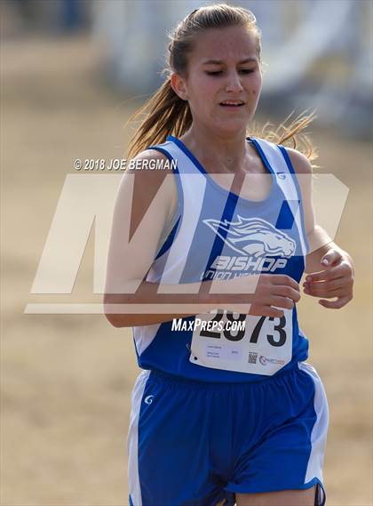Thumbnail 3 in CIF Central Section Cross Country Championships (Girls D4 Race) photogallery.