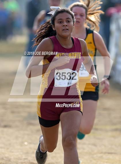 Thumbnail 1 in CIF Central Section Cross Country Championships (Girls D4 Race) photogallery.
