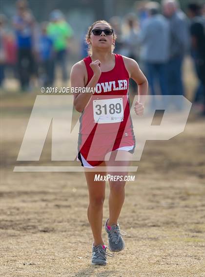 Thumbnail 1 in CIF Central Section Cross Country Championships (Girls D4 Race) photogallery.