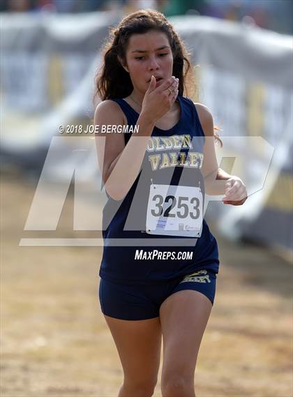 Thumbnail 3 in CIF Central Section Cross Country Championships (Girls D4 Race) photogallery.