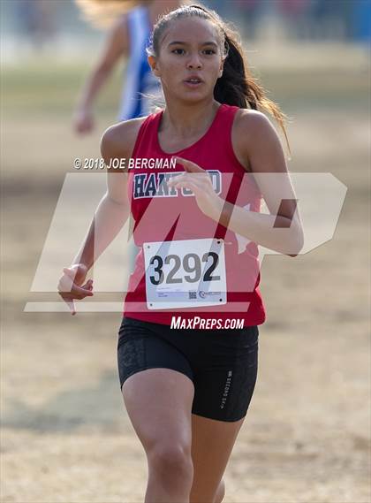Thumbnail 3 in CIF Central Section Cross Country Championships (Girls D4 Race) photogallery.