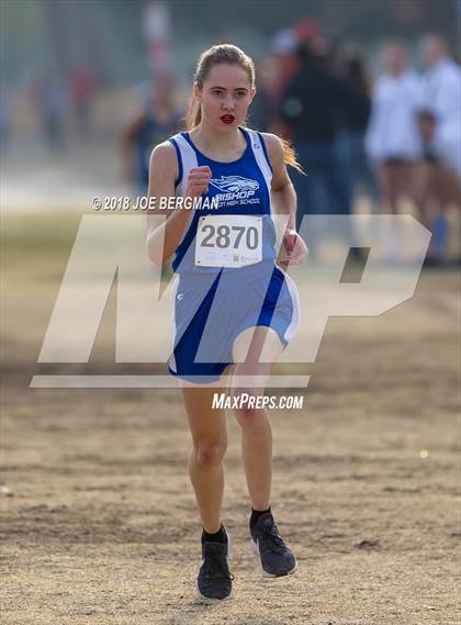 Thumbnail 2 in CIF Central Section Cross Country Championships (Girls D4 Race) photogallery.