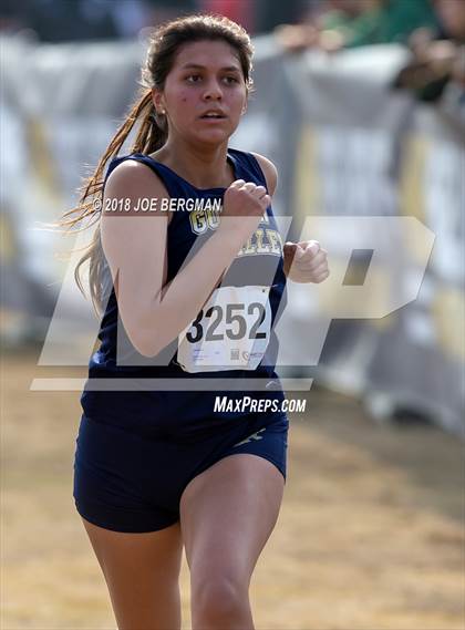 Thumbnail 2 in CIF Central Section Cross Country Championships (Girls D4 Race) photogallery.