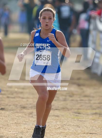 Thumbnail 3 in CIF Central Section Cross Country Championships (Girls D4 Race) photogallery.