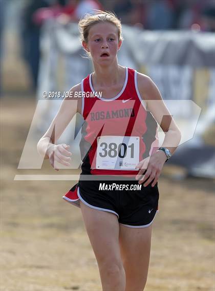 Thumbnail 2 in CIF Central Section Cross Country Championships (Girls D4 Race) photogallery.