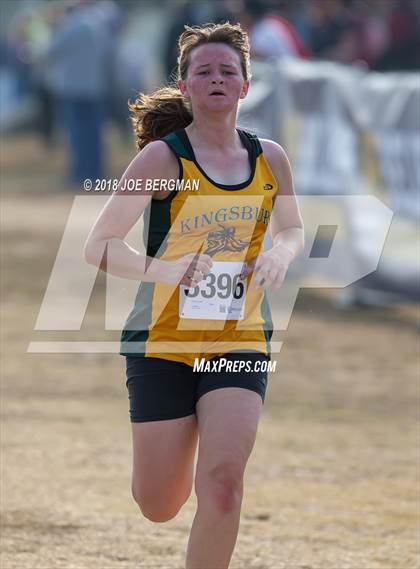 Thumbnail 3 in CIF Central Section Cross Country Championships (Girls D4 Race) photogallery.