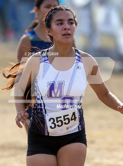 Thumbnail 3 in CIF Central Section Cross Country Championships (Girls D4 Race) photogallery.