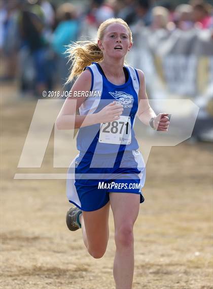 Thumbnail 3 in CIF Central Section Cross Country Championships (Girls D4 Race) photogallery.