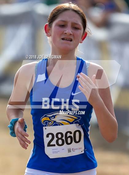 Thumbnail 2 in CIF Central Section Cross Country Championships (Girls D4 Race) photogallery.