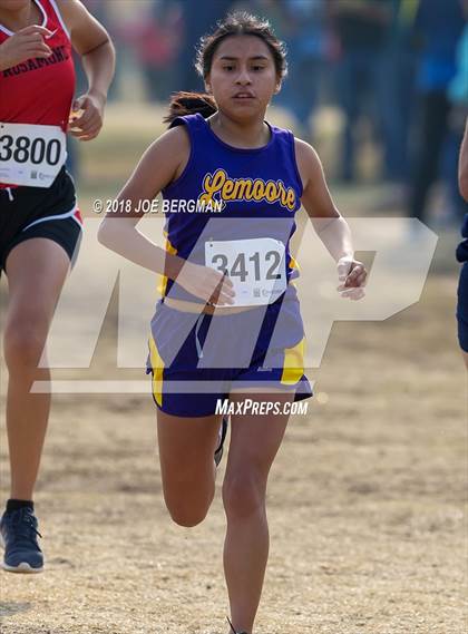 Thumbnail 2 in CIF Central Section Cross Country Championships (Girls D4 Race) photogallery.